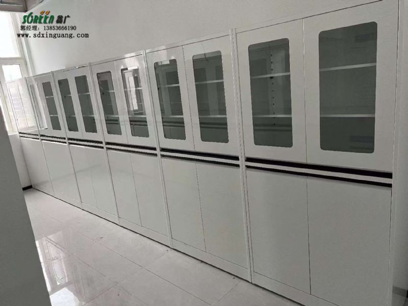 濟(jì)南實驗臺廠家 全鋼器皿柜 實驗室試劑柜可定制